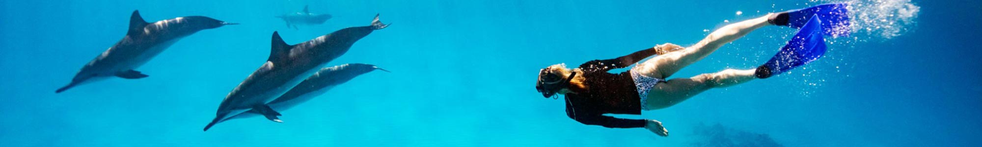 Dolphin Cruise Destin Adventures Included with Your Stay at Liquid Assets